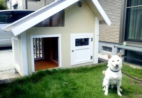 中型犬が快適に過ごせる犬小屋